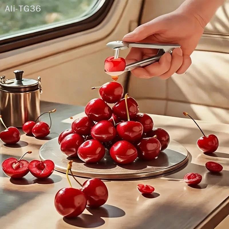 NexaHome Stainless Steel Cherr - Cherry Pitter Tool reseña y precio